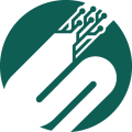 Stemronic Solutions favicon